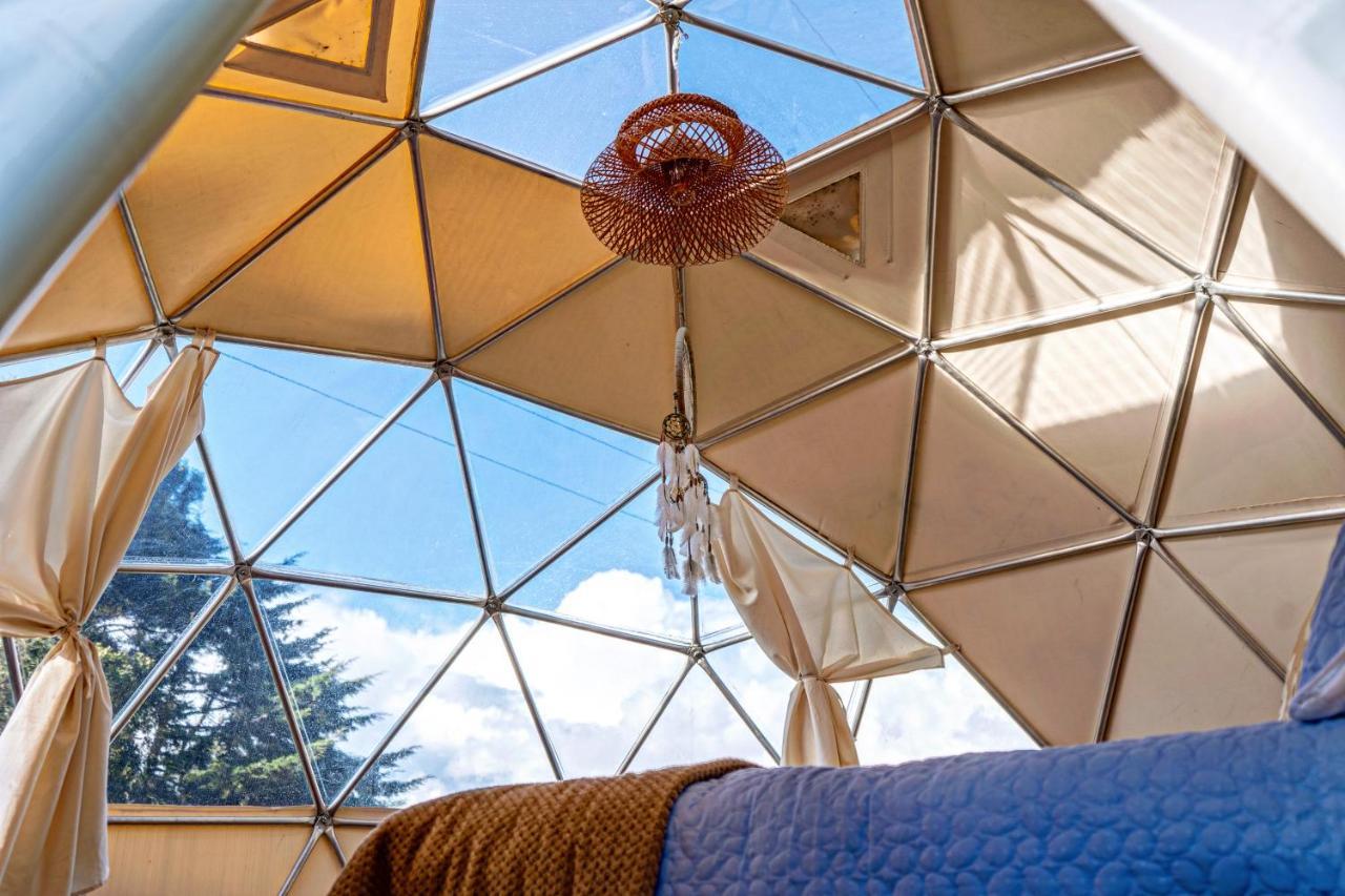 Alma De Campo Glamping - Laguna De Suesca Eksteriør bilde