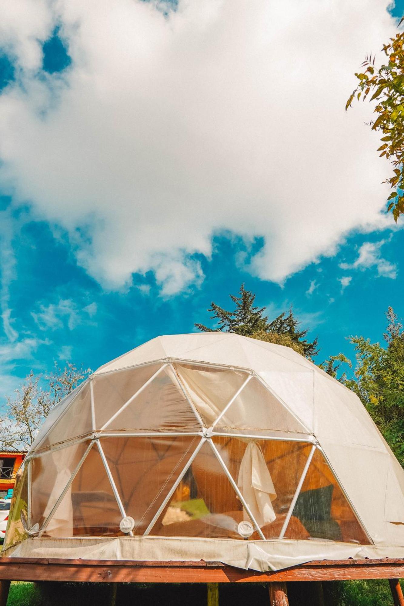 Alma De Campo Glamping - Laguna De Suesca Eksteriør bilde